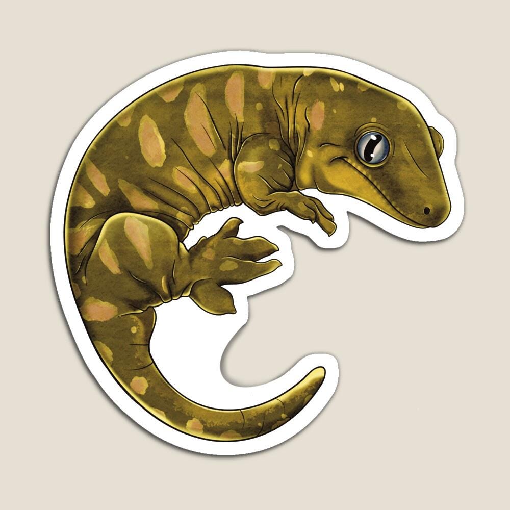 Leachie Gecko Vinyl Sticker